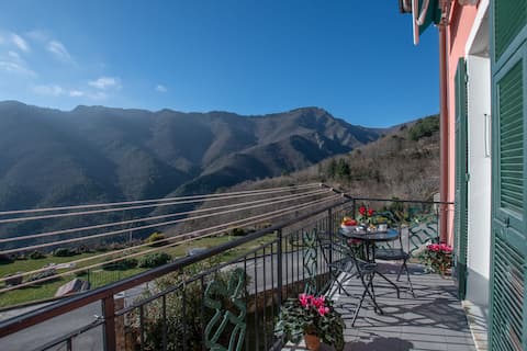 VERDEMARE Rialto - (AAUTSV12093)