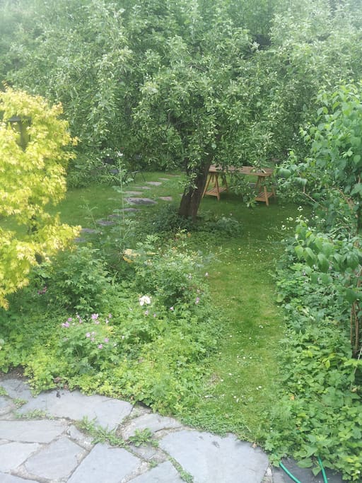 Lummig mysig trädgård