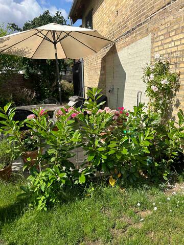 Hus i København, Danmark gallery image 3