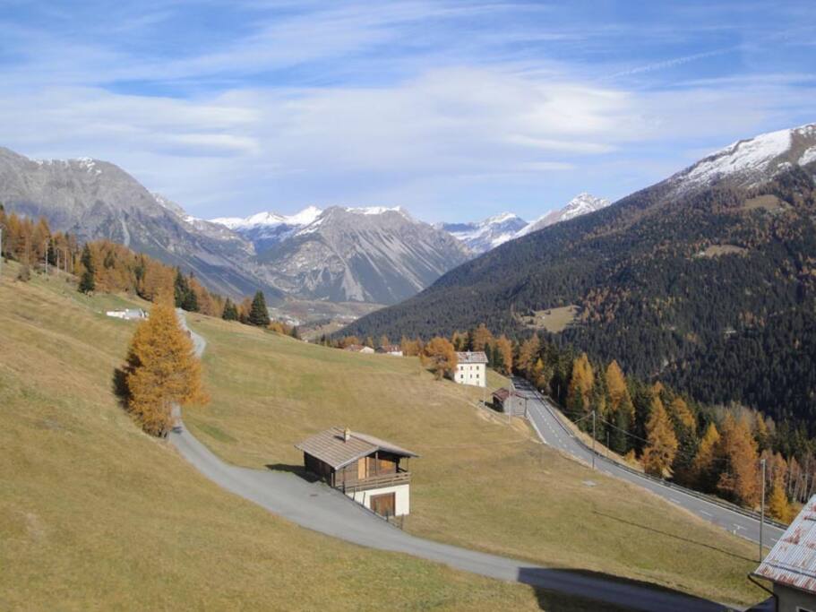 Panorma