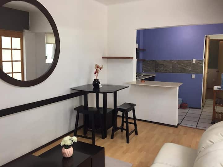 MINI APARTMENT in Coyoácan, Ciudad Jardín Apartments for Rent in
