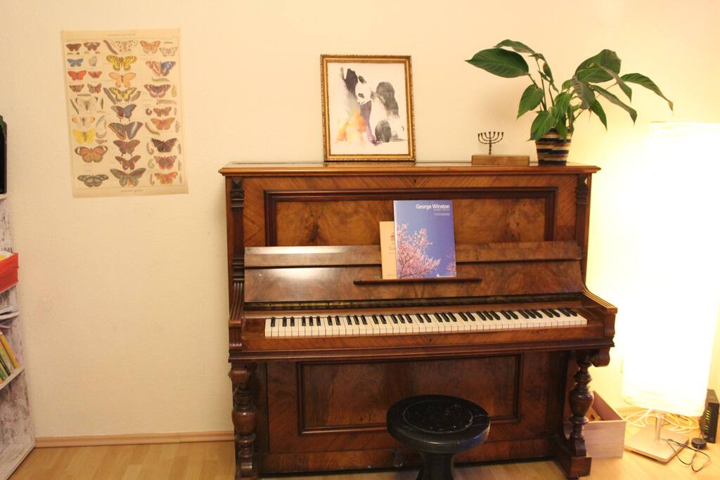 Wohnzimmer 3