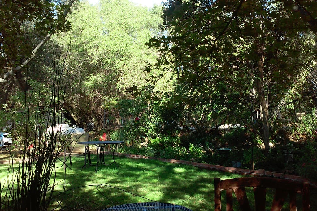 Backyard below the pool