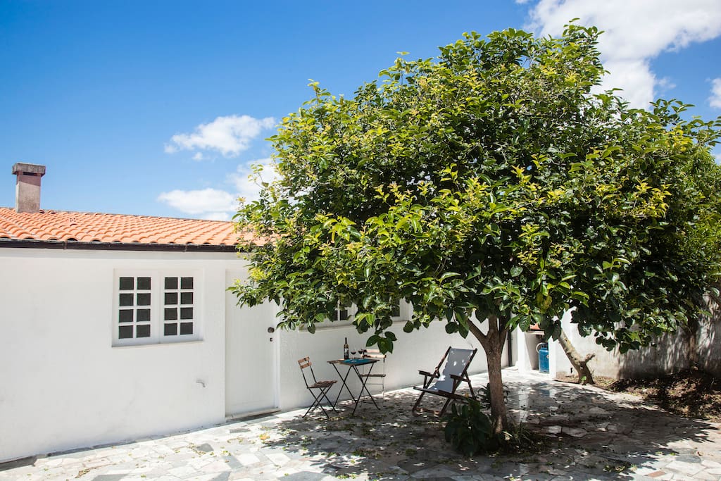 Pátio exterior /Exterior courtyard / terrasse extérieure