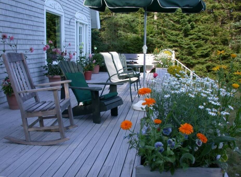 Oceanside deck.