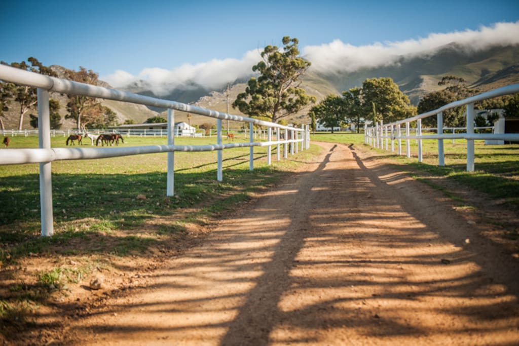 Entrance to farm