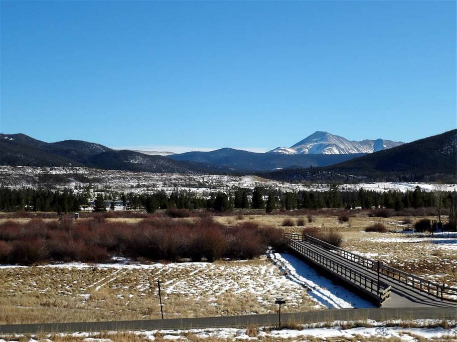 Timberline Cove View