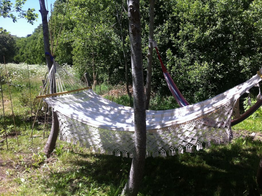 Le jardin