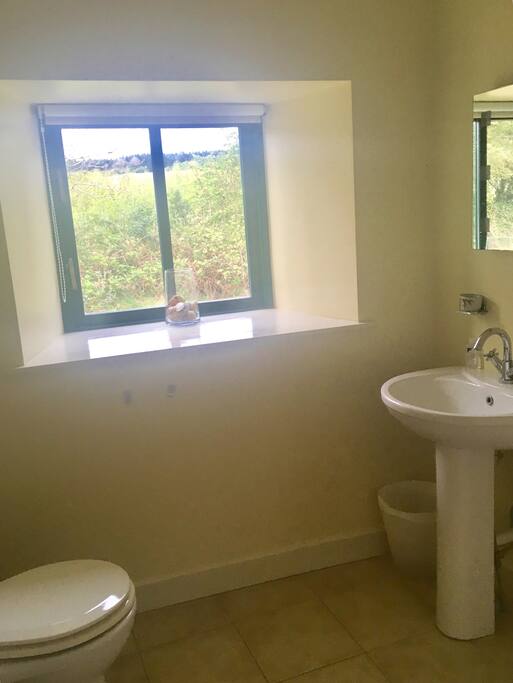 Shower room with toilet