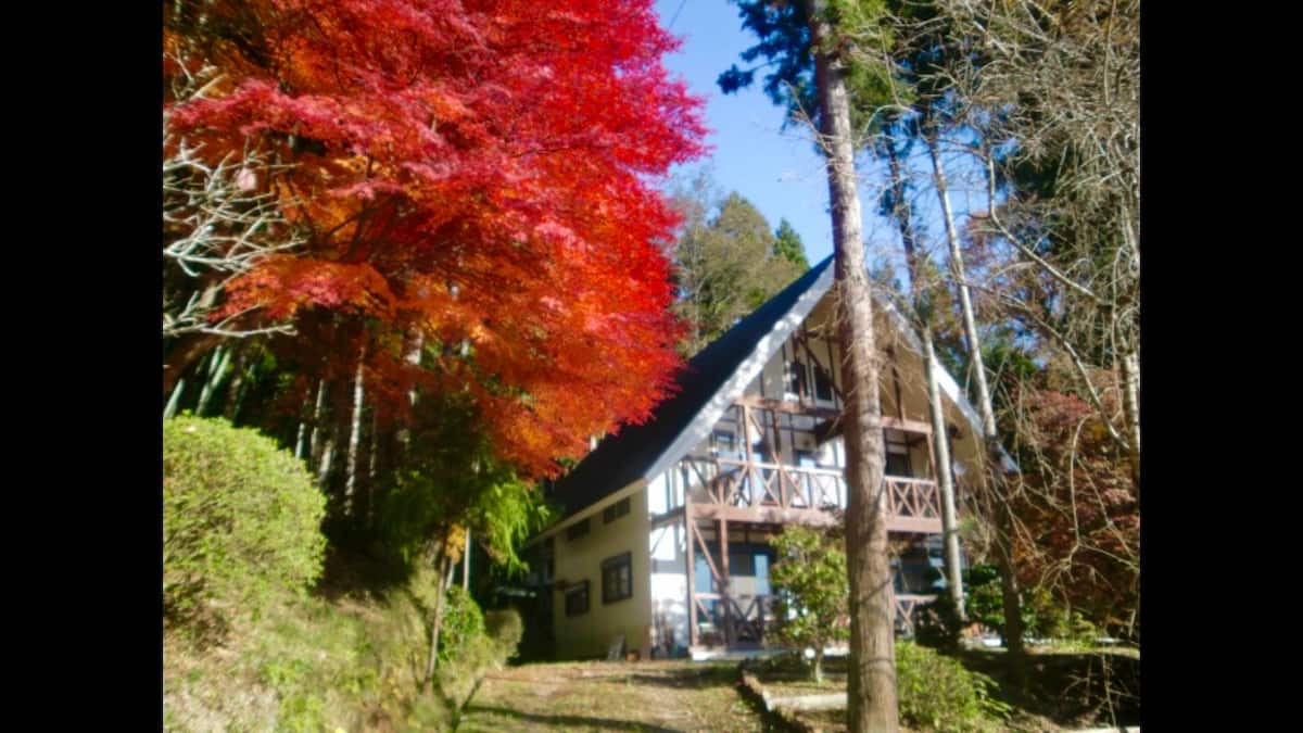 ペットOK 1日1組MUSIC FOREST貸別荘露天風呂付サウナ付本格カラオケ焚き火バーベキュー