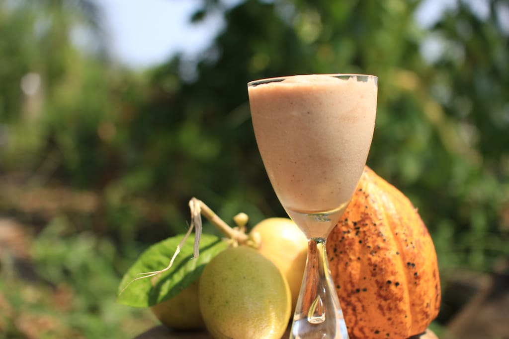 shake with fresh cacao flesh