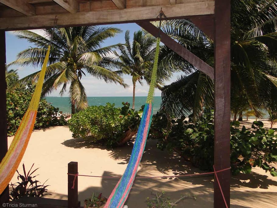 View from your hammocks