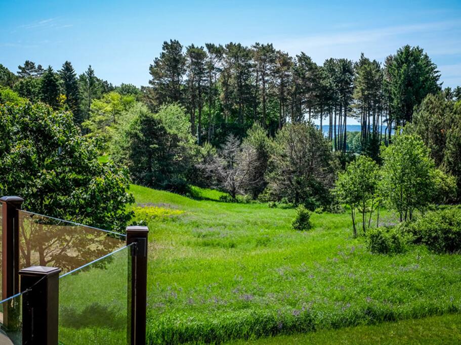 Gorgeous views from the expansive deck.