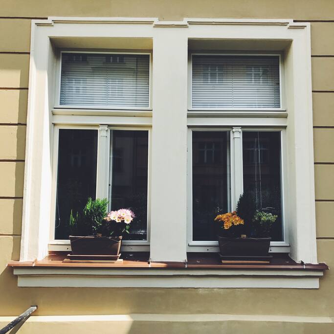 Windows into the apartment