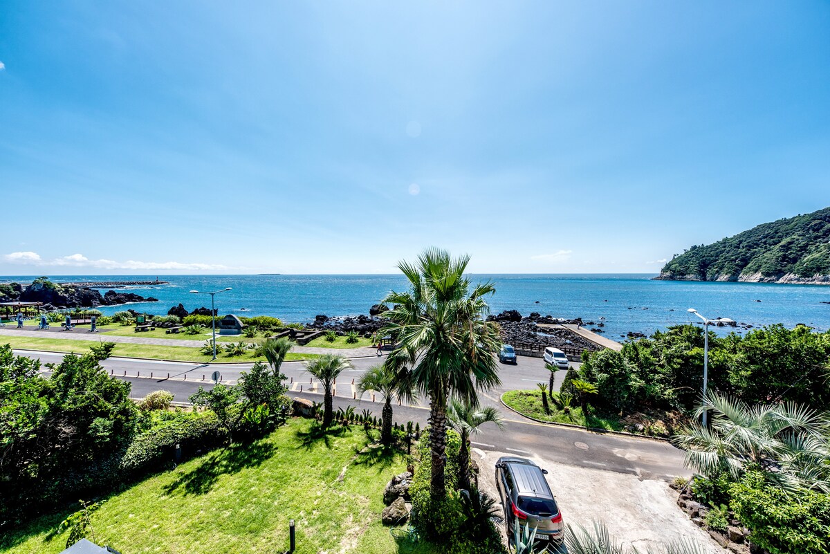 A scenic view reveals the ocean stretching toward the horizon, framed by lush greenery and palm trees in the foreground. The coastline is lined with a road and vehicles, while the distant landscape features a gentle slope of hills.