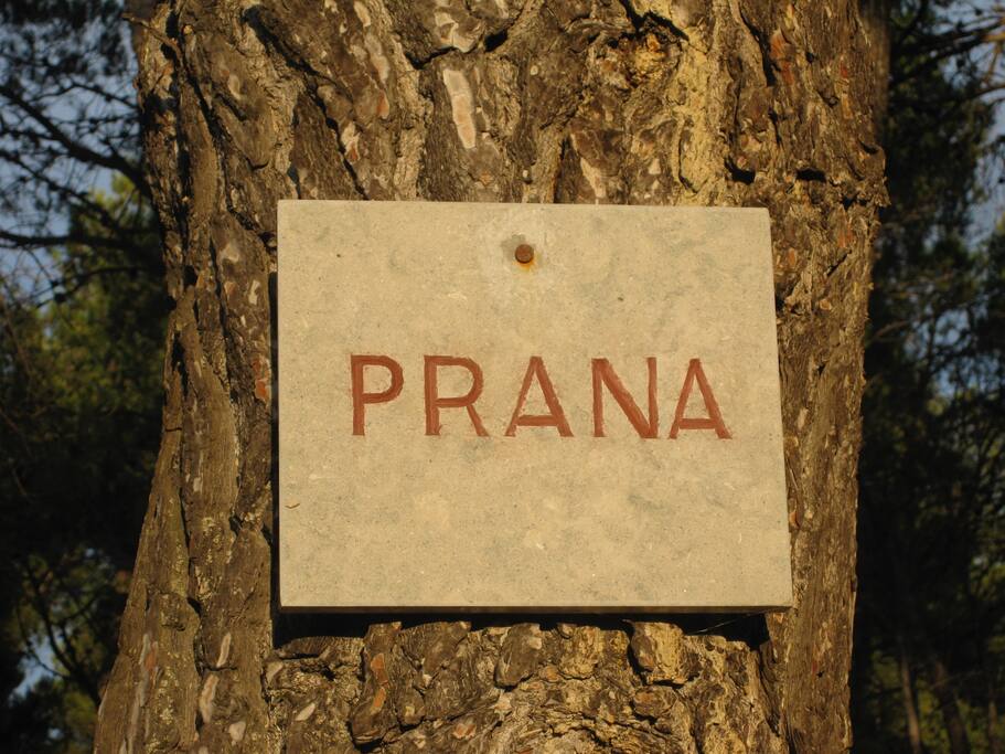 Prana in Provence