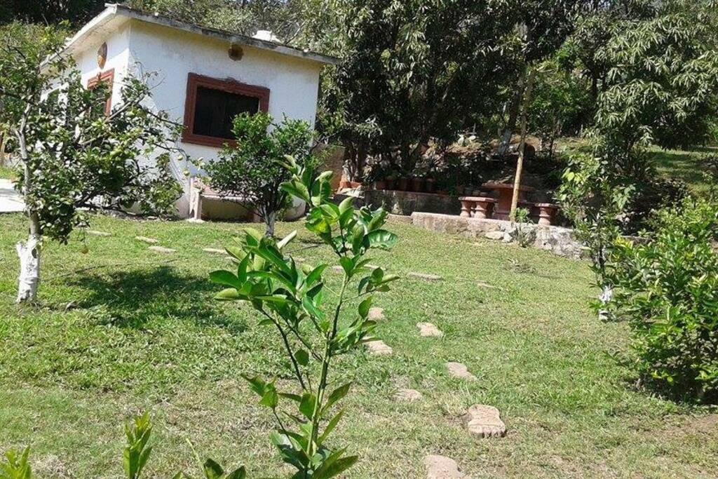 Tiene arboles frutales y plantas de ornato.