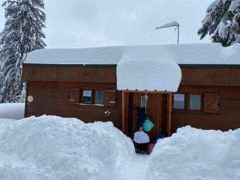 Beautiful chalet for 12 people