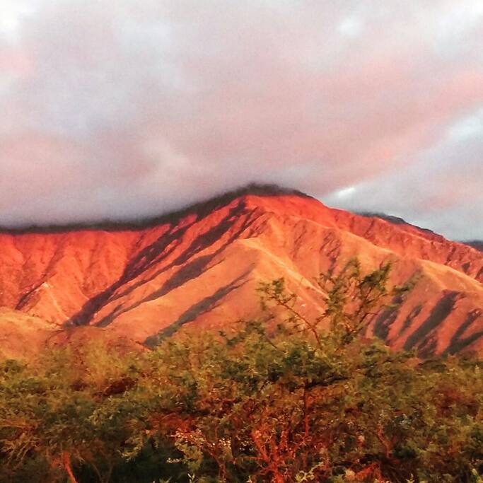 Vista de las Sierras desde el parque de Casa Lavanda