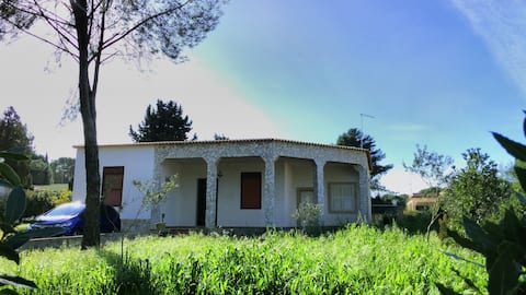 Villa Lina
