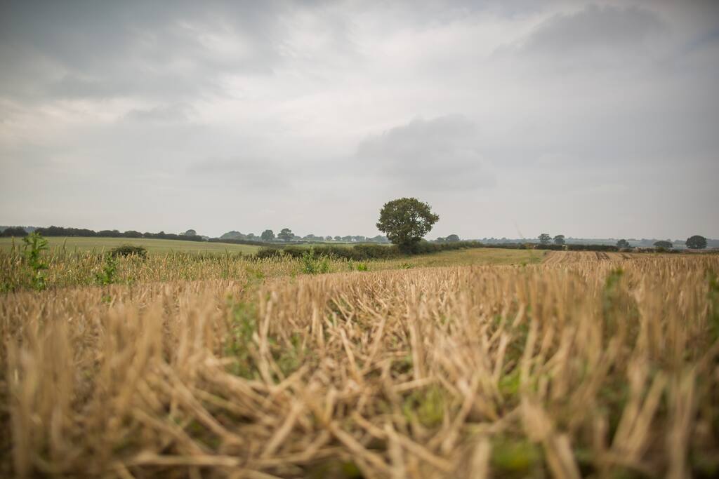 Pig Run Barn is surrounded by peaceful countryside on our family farm, yet only 10 minutes from the A1M. Newcastle, Durham & Sunderland are an easy 25 minutes and Beamish Museum is only 7 minutes away