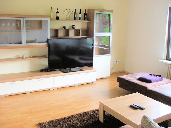 PhoenixSee Holiday Rentals & Homes Hörde, Dortmund, Germany Airbnb