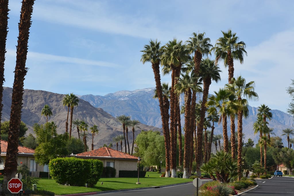 Towering palms & majestic mountains