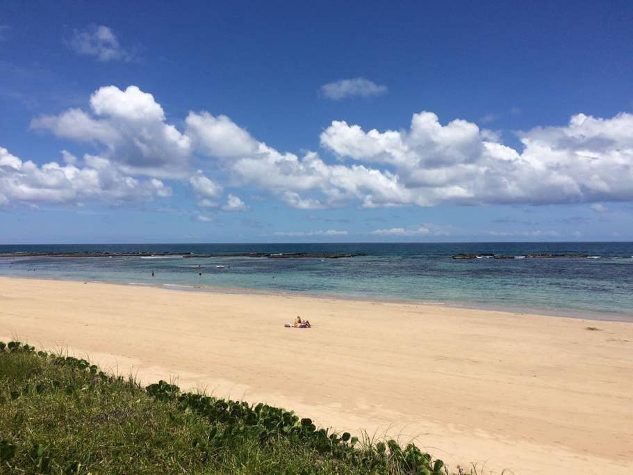 A serene beach scene depicts soft, golden sand meeting gentle waves under a bright blue sky dotted with fluffy white clouds. A few figures can be seen enjoying the expansive shoreline, highlighting the spaciousness of this tranquil setting.