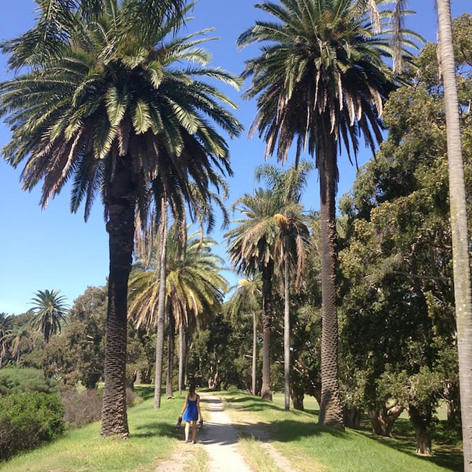 Photo de Centennial Park