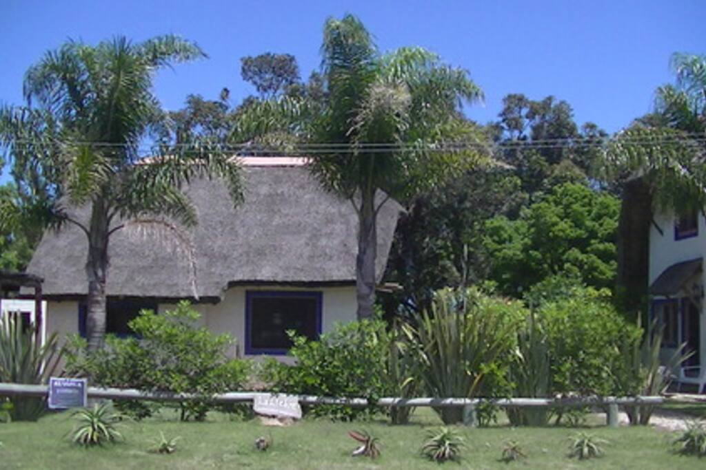 Casa sobre un hermoso parque de àrboles autòctonos,