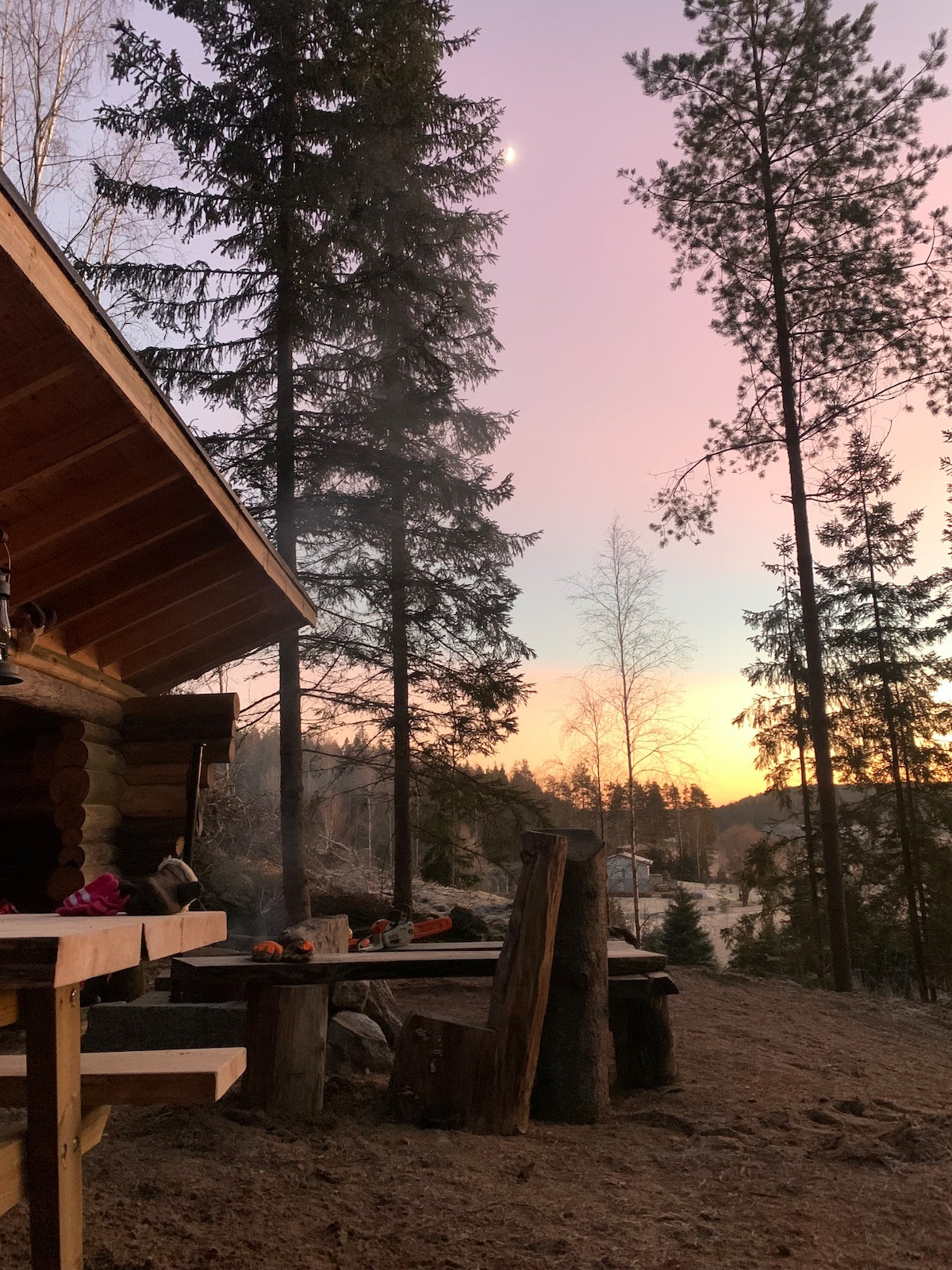 A rustic wooden structure with a sloped roof is positioned amidst tall pine trees. A table with logs for seating is visible in the foreground, surrounded by a serene landscape. A gentle sunrise casts soft colors across the sky, signaling the start of a new day.