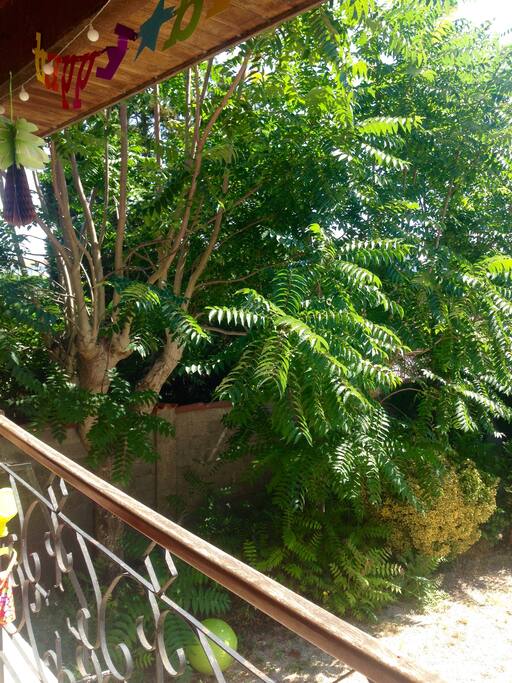 Terrasse côté cuisine