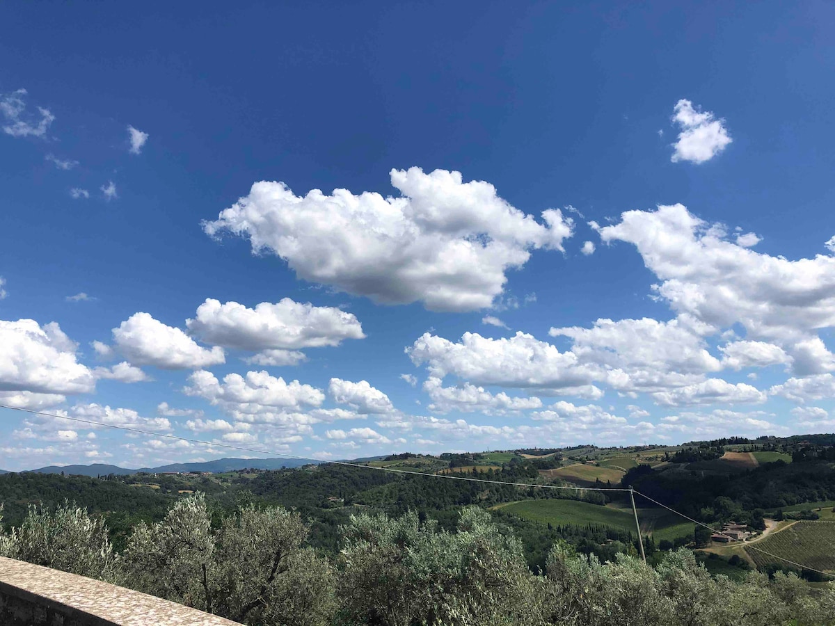 A panoramic view reveals rolling hills covered in lush greenery, punctuated by olive trees. Fluffy white clouds drift across a bright blue sky, casting gentle shadows on the landscape. The scenic arrangement invites a sense of tranquility and connection to the natural surroundings.