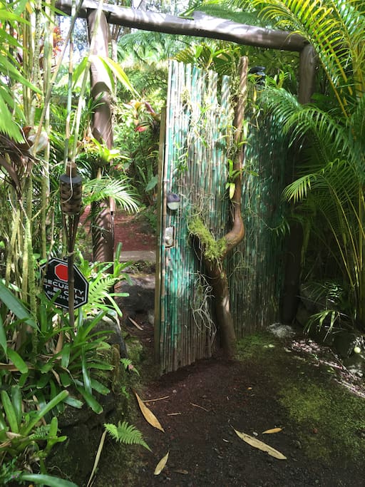 Path gate to jungle cabin