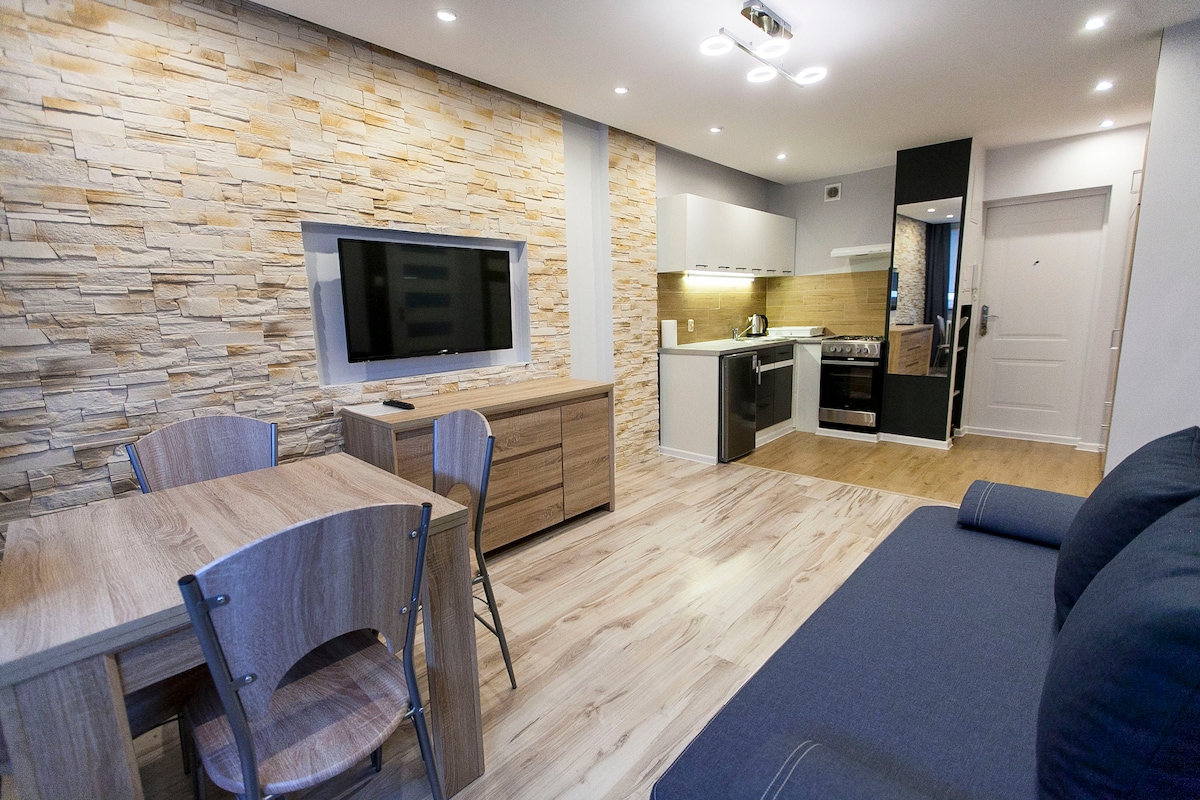 A modern living area features a stone accent wall and wood-toned furniture. A flat-screen TV is mounted above a wooden console. The kitchen contains contemporary cabinets and appliances, while a dining table with two chairs is arranged nearby. Natural light fills the space through large windows.