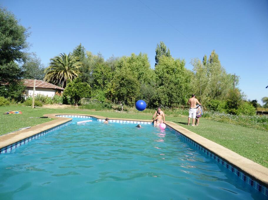 piscina de 10 x8 mts