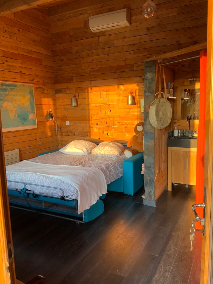 Canapé lit 2 places.