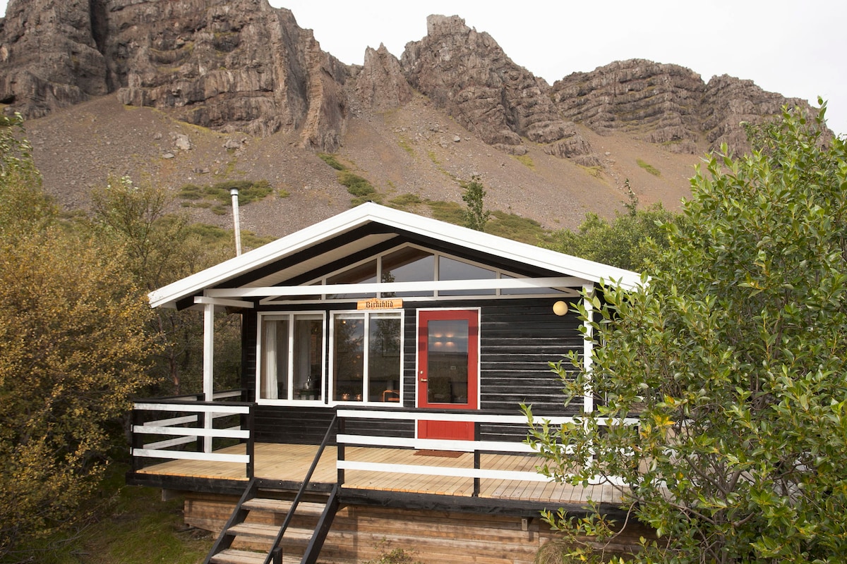 A rustic cabin with a black exterior and white trim is positioned against a backdrop of rugged mountains. The inviting porch features wooden steps and a bright red door. Large windows provide views of the surrounding greenery and landscape.