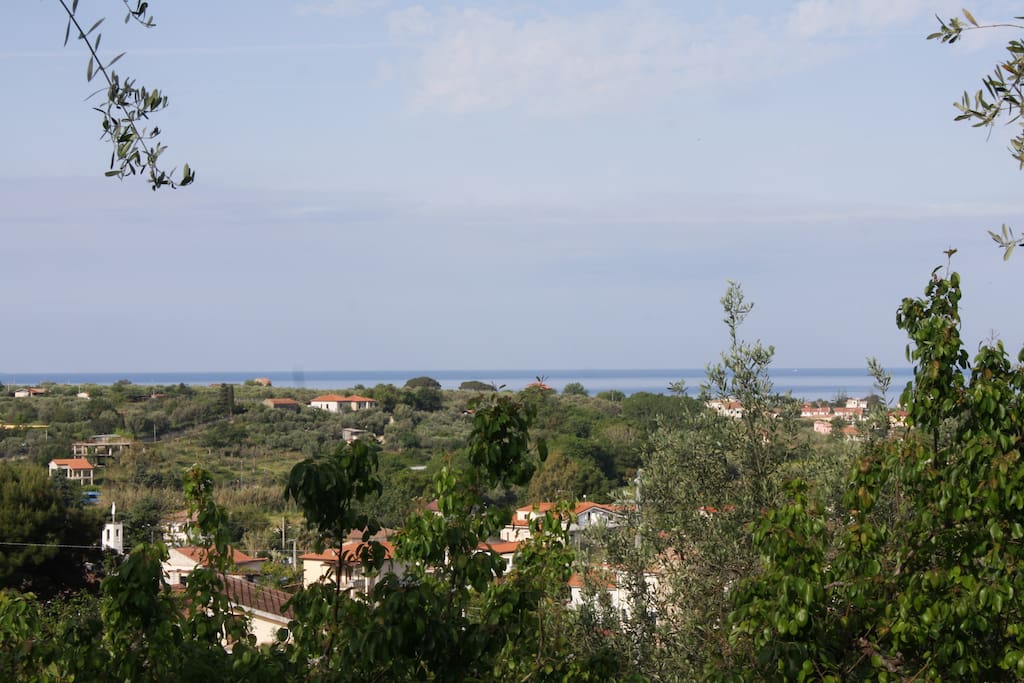 Panorama