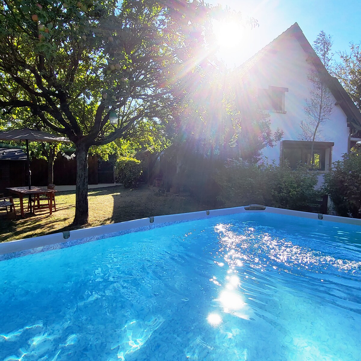 A sparkling swimming pool reflects sunlight, surrounded by a lush garden. A tree offers shade nearby, and a wooden dining table and chairs can be seen in the distance. The charming two-story house is visible, completing a serene outdoor setting.