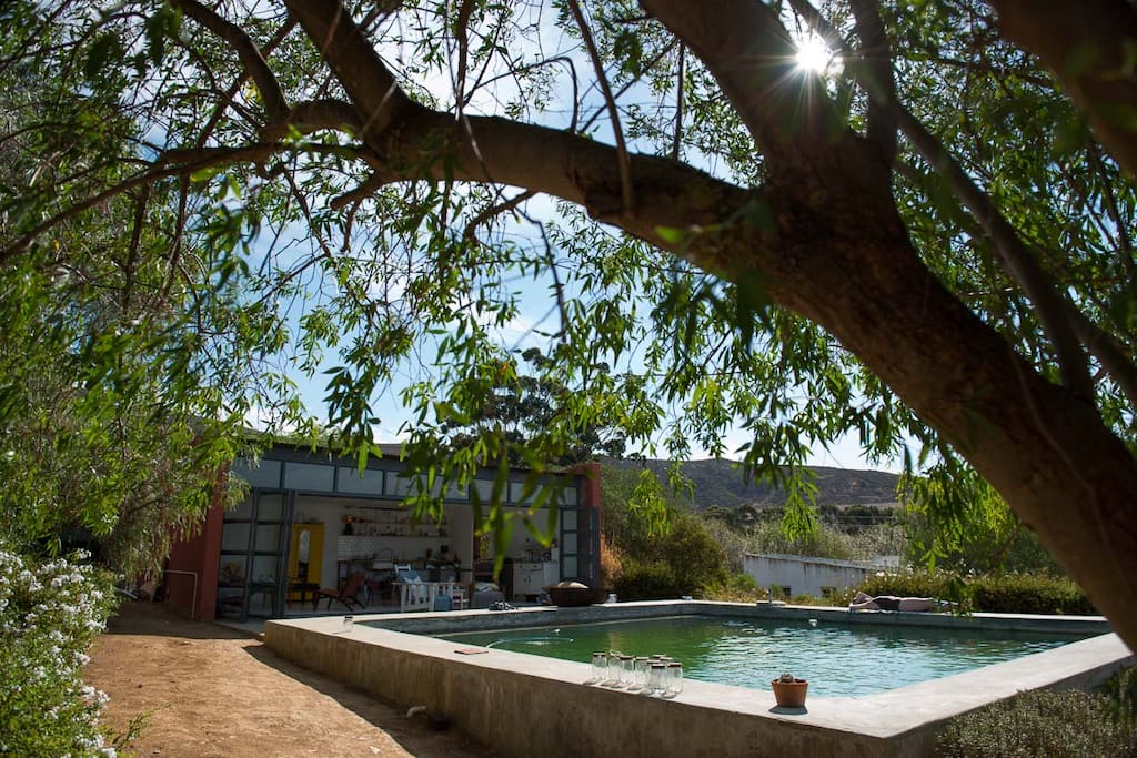 pool & living area