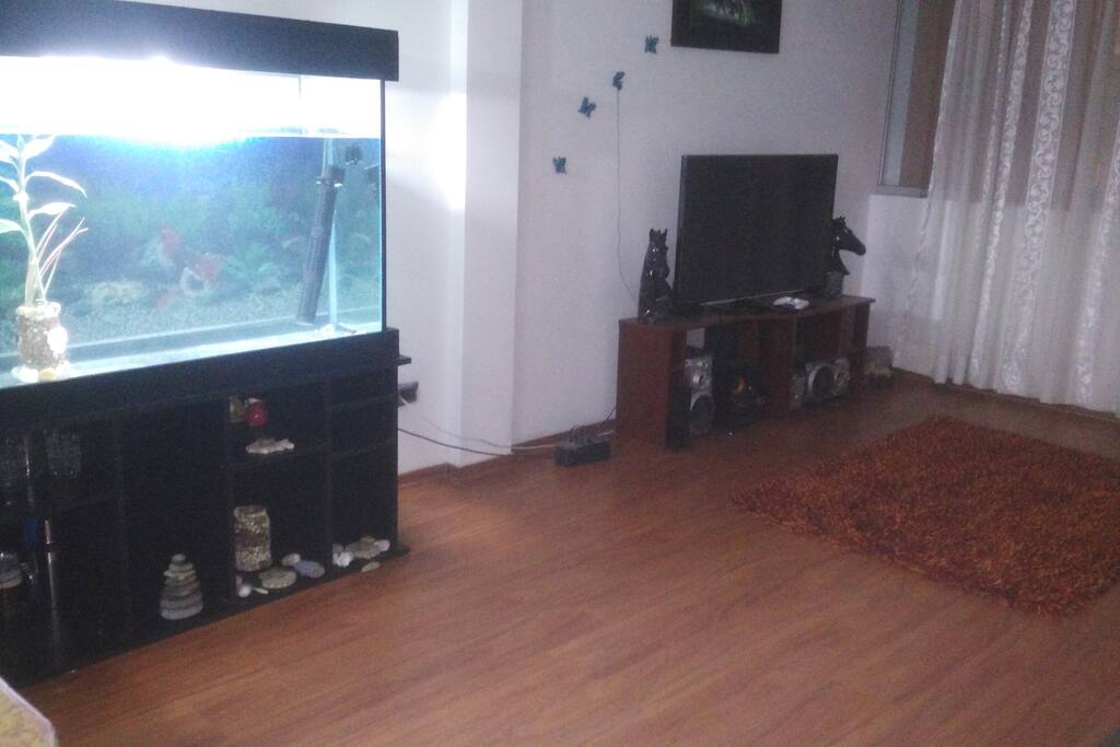Sala piso de madera y pecera