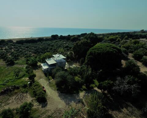 Ktima Bilioni 2 near Olympia