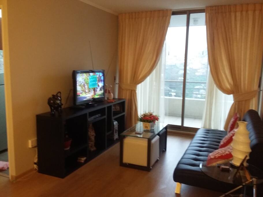 El living cuenta con un sofa cama, un televisor con reproductor DVD
( The living room has a couch that can be used as a bed, a TV and a DVD player)