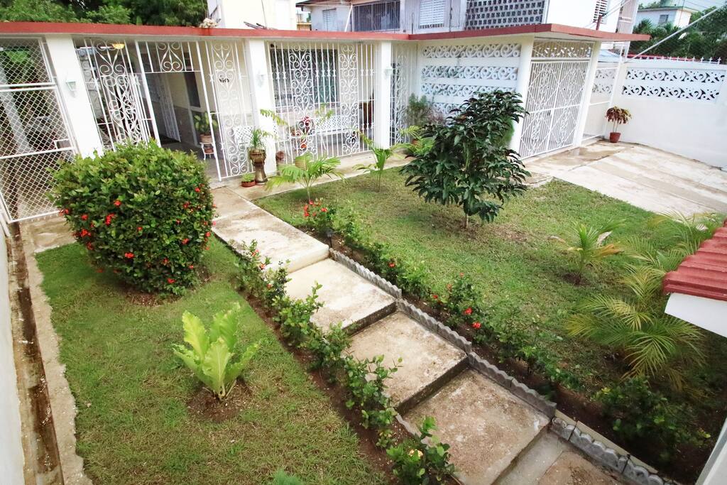 Front Yard