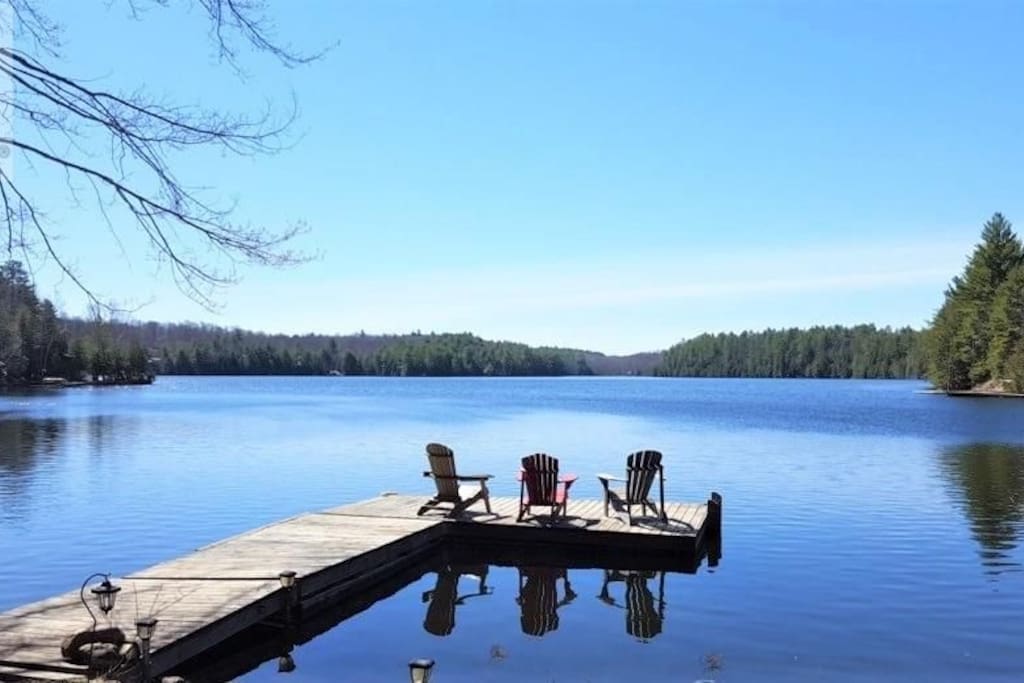 Waterfront cottage on beautiful East Moore lake!! Cottages for Rent