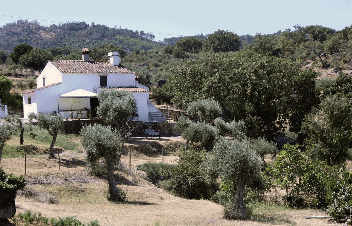 A rustic house is featured in a serene landscape, surrounded by olive trees and rolling hills. The structure displays traditional architecture with a tiled roof and a shaded terrace. The natural surroundings contribute to a peaceful rural ambiance.