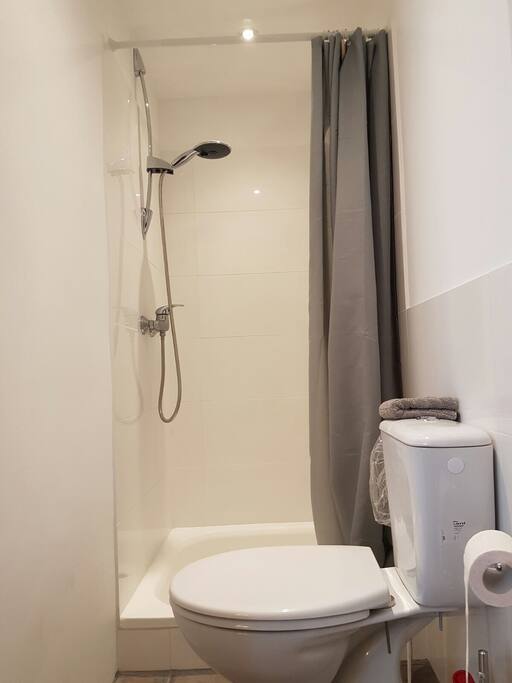 brand new shower and toilet in seperate space