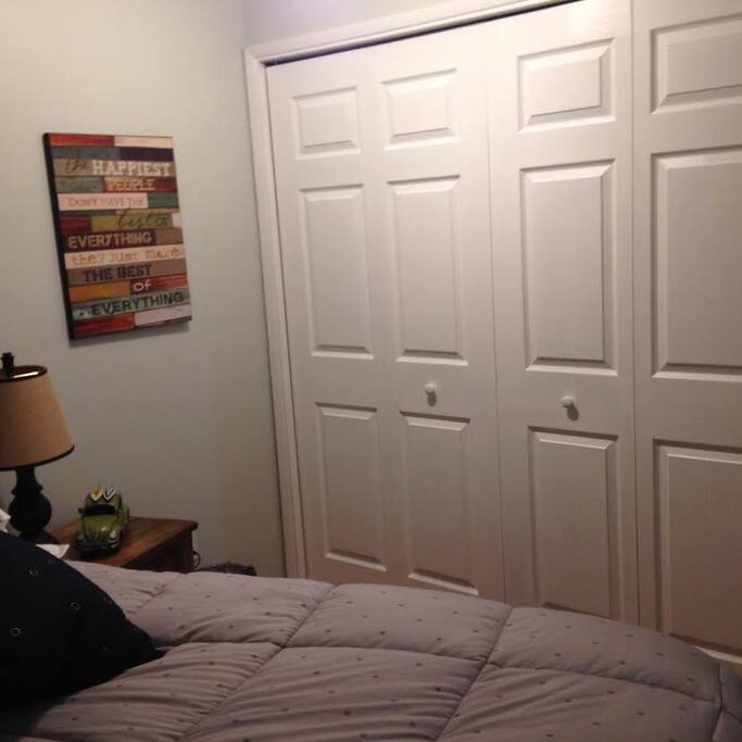 Large closet with dresser inside