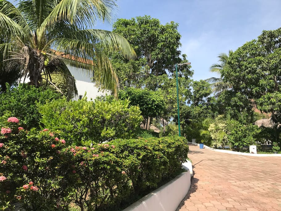 Garden